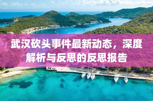 武汉砍头事件最新动态，深度解析与反思的反思报告