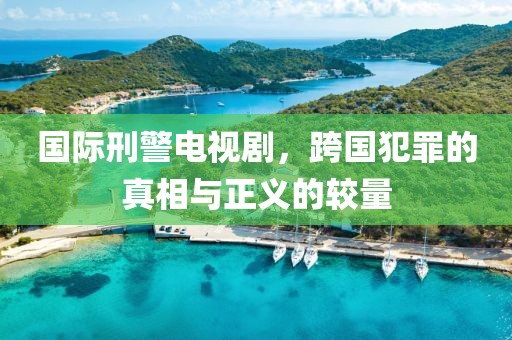 国际刑警电视剧，跨国犯罪的真相与正义的较量