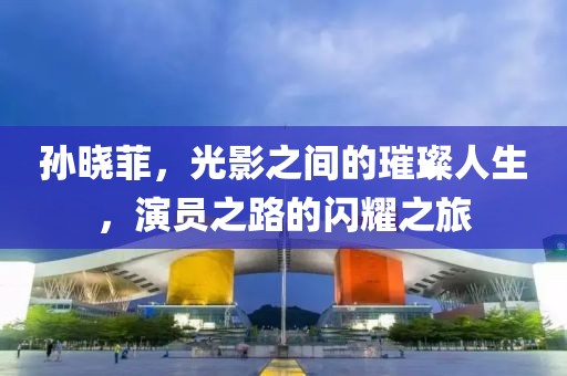 孙晓菲，光影之间的璀璨人生，演员之路的闪耀之旅