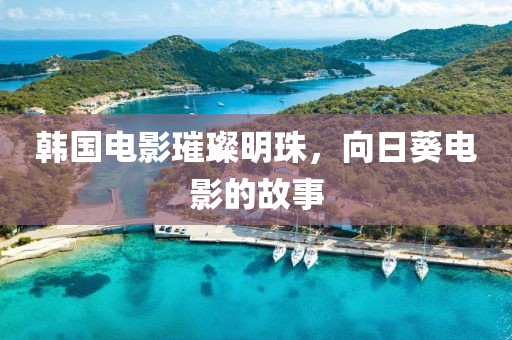 韩国电影璀璨明珠，向日葵电影的故事