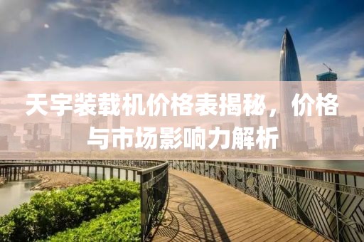 天宇装载机价格表揭秘，价格与市场影响力解析