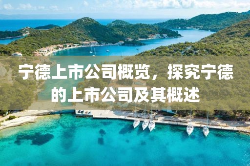 宁德上市公司概览，探究宁德的上市公司及其概述
