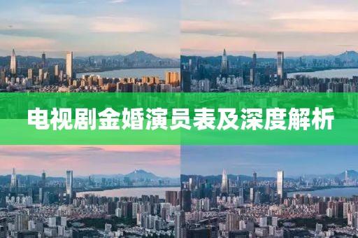 电视剧金婚演员表及深度解析