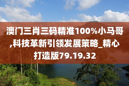 澳门三肖三码精准100%小马哥,科技革新引领发展策略_精心打造版79.19.32