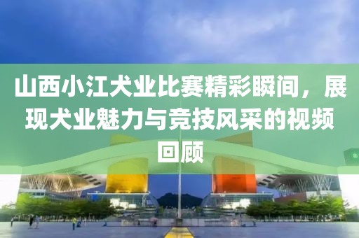 山西小江犬业比赛精彩瞬间，展现犬业魅力与竞技风采的视频回顾