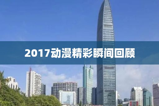 2017动漫精彩瞬间回顾