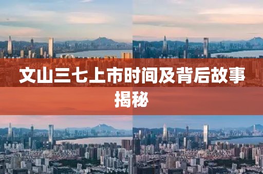 文山三七上市时间及背后故事揭秘