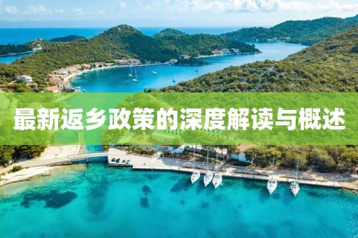 最新返乡政策的深度解读与概述