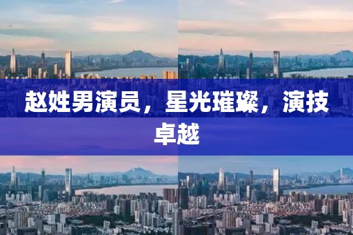 赵姓男演员，星光璀璨，演技卓越