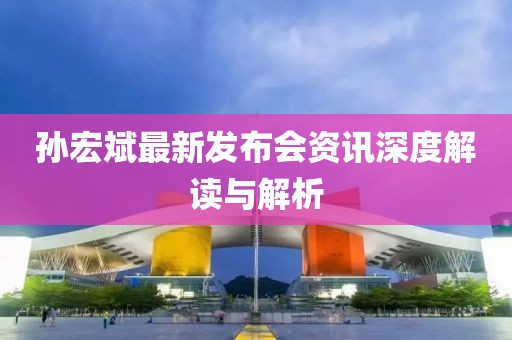 孙宏斌最新发布会资讯深度解读与解析