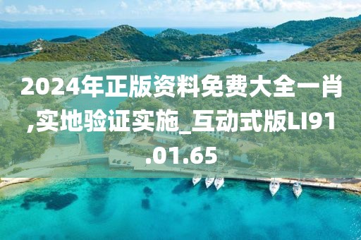 2024年正版资料免费大全一肖,实地验证实施_互动式版LI91.01.65