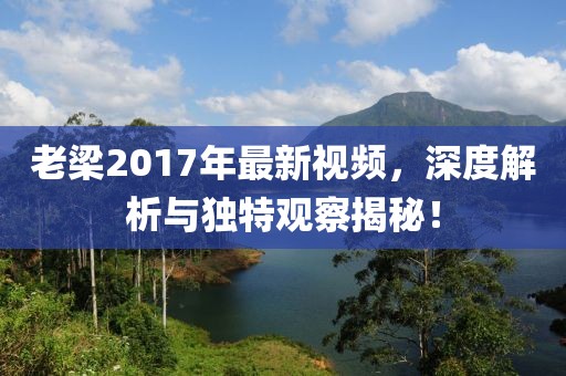 老梁2017年最新视频，深度解析与独特观察揭秘！