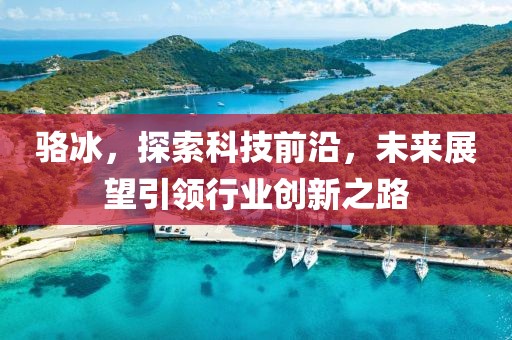 骆冰，探索科技前沿，未来展望引领行业创新之路