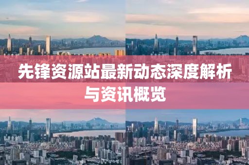 先锋资源站最新动态深度解析与资讯概览