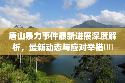 唐山暴力事件最新进展深度解析，最新动态与应对举措​​