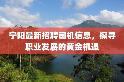 宁阳最新招聘司机信息，探寻职业发展的黄金机遇