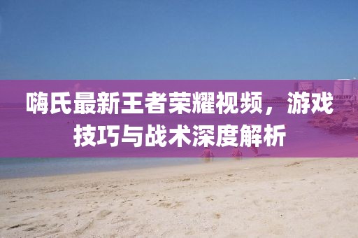 嗨氏最新王者荣耀视频，游戏技巧与战术深度解析