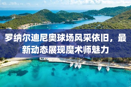 罗纳尔迪尼奥球场风采依旧，最新动态展现魔术师魅力