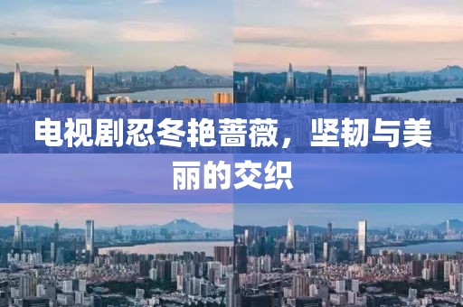 电视剧忍冬艳蔷薇，坚韧与美丽的交织