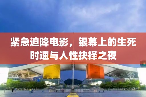 紧急迫降电影，银幕上的生死时速与人性抉择之夜