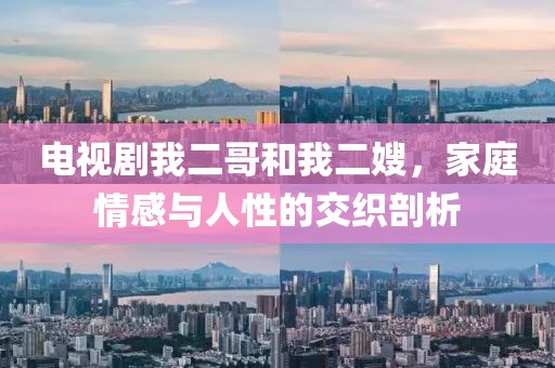电视剧我二哥和我二嫂，家庭情感与人性的交织剖析