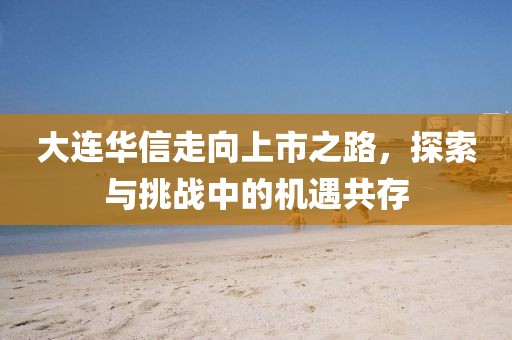 大连华信走向上市之路，探索与挑战中的机遇共存