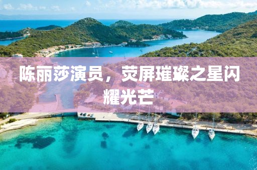 陈丽莎演员，荧屏璀璨之星闪耀光芒