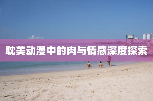耽美动漫中的肉与情感深度探索