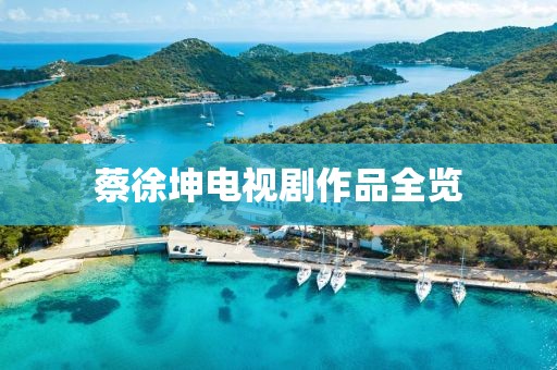 蔡徐坤电视剧作品全览