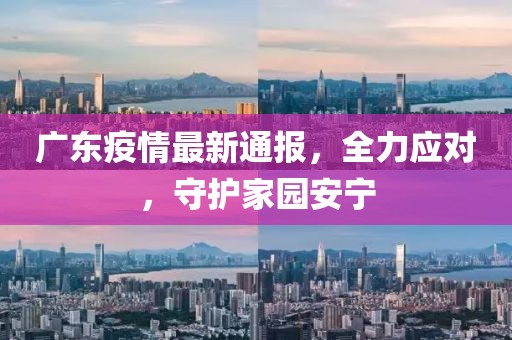 广东疫情最新通报，全力应对，守护家园安宁