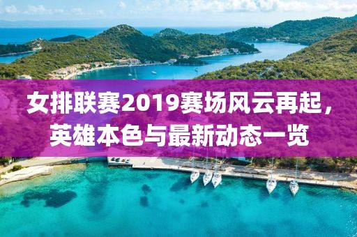 女排联赛2019赛场风云再起，英雄本色与最新动态一览
