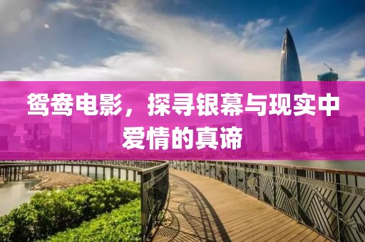 终究是客 第13页