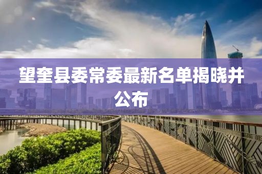 望奎县委常委最新名单揭晓并公布