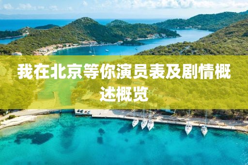 我在北京等你演员表及剧情概述概览