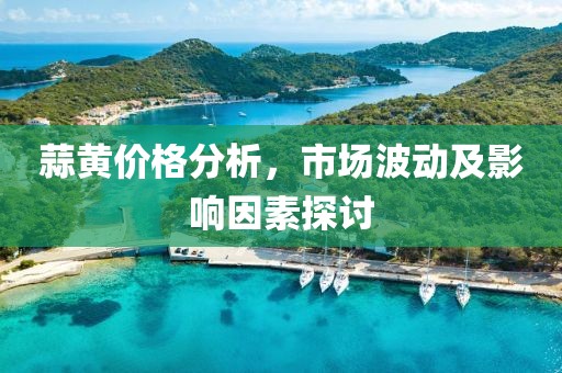 蒜黄价格分析，市场波动及影响因素探讨