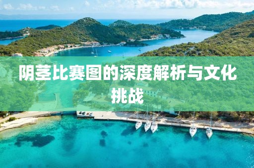 阴茎比赛图的深度解析与文化挑战