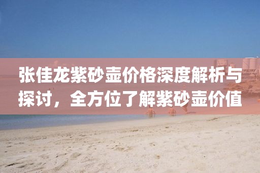 张佳龙紫砂壶价格深度解析与探讨，全方位了解紫砂壶价值