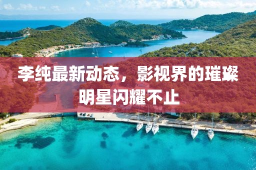 李纯最新动态，影视界的璀璨明星闪耀不止