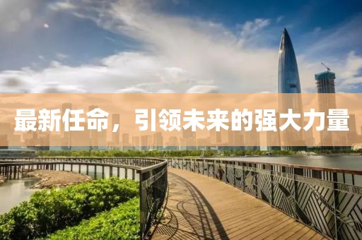 最新任命，引领未来的强大力量