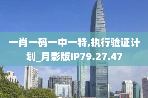 一肖一码一中一特,执行验证计划_月影版IP79.27.47