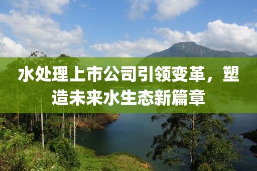 水处理上市公司引领变革，塑造未来水生态新篇章
