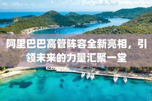 阿里巴巴高管阵容全新亮相，引领未来的力量汇聚一堂