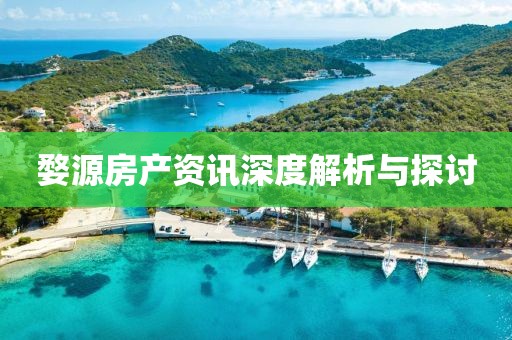沉寂于以往 第13页