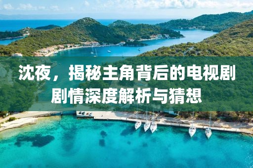 沈夜，揭秘主角背后的电视剧剧情深度解析与猜想