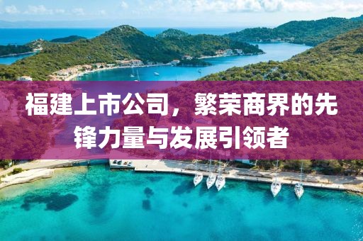 福建上市公司，繁荣商界的先锋力量与发展引领者