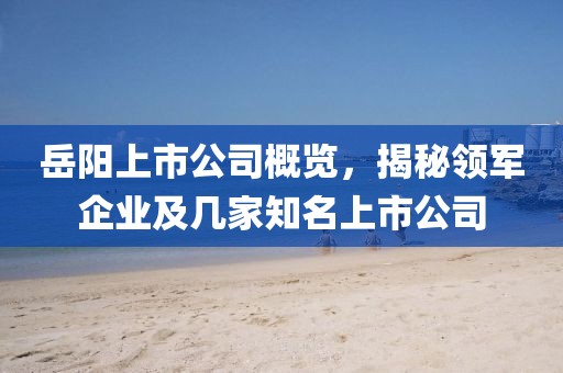 岳阳上市公司概览，揭秘领军企业及几家知名上市公司
