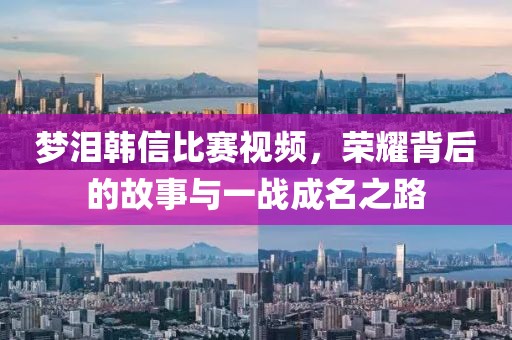 梦泪韩信比赛视频，荣耀背后的故事与一战成名之路