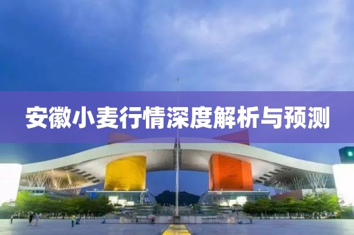 安徽小麦行情深度解析与预测