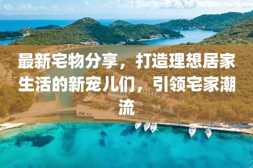 最新宅物分享，打造理想居家生活的新宠儿们，引领宅家潮流