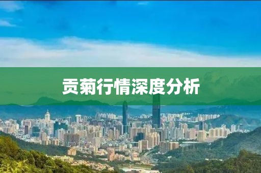 贡菊行情深度分析